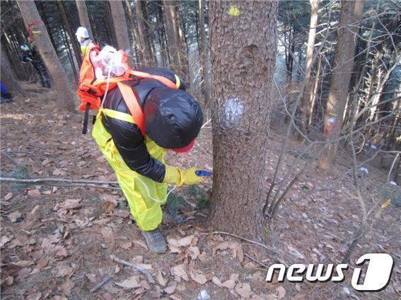 본문 이미지 - 기사 이해를 돕기 위한 방제 자료 사진으로 기사 내용과 직접 관련 없음. ⓒ News1