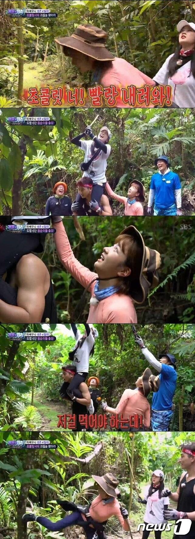 본문 이미지 - '정글의 법칙' ⓒ News1