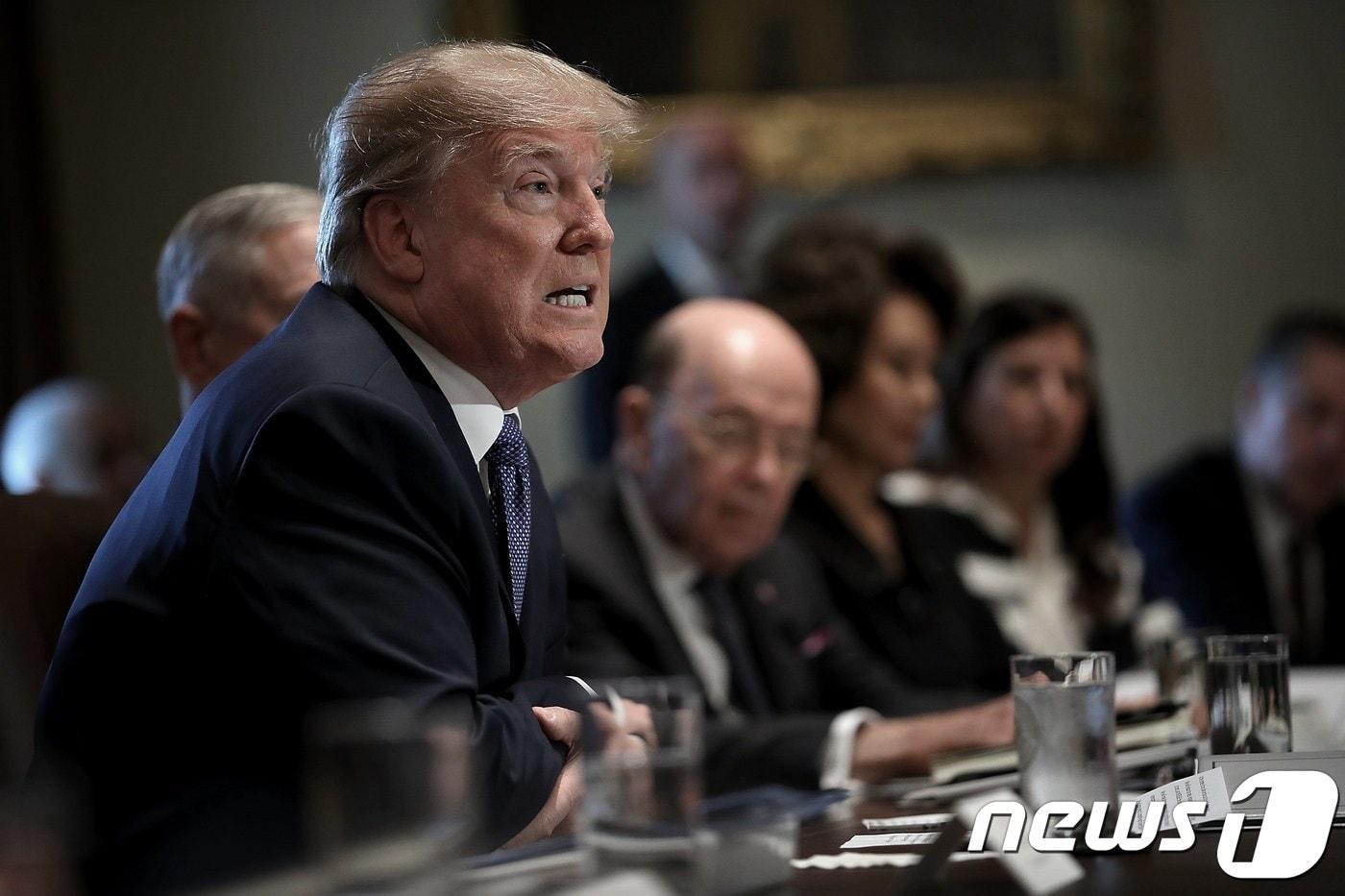 본문 이미지 - 내각회의를 주재하고 있는 도널드 트럼프 미 대통령.ⓒ AFP=뉴스1