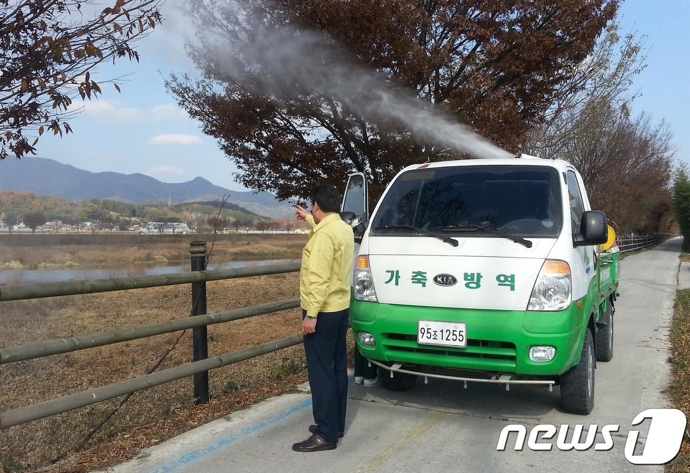 본문 이미지 - 조용익 전남 담양군 부군수는 지난 20일 담양군 봉산면 대추리 인근 영산강변을 찾아 AI 방역을 위한 소독작업을 벌였다.(담양군 제공) 2017.11.21/뉴스1 ⓒ News1 전원 기자