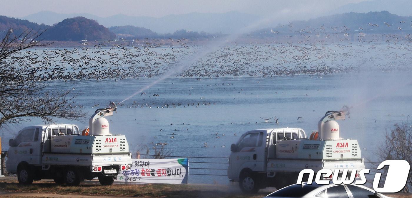 전북도가 올 동절기 첫 고병원성 조류인플루엔자 발생에 따라 한층 강화된 대응 체계를 운영한다./뉴스1