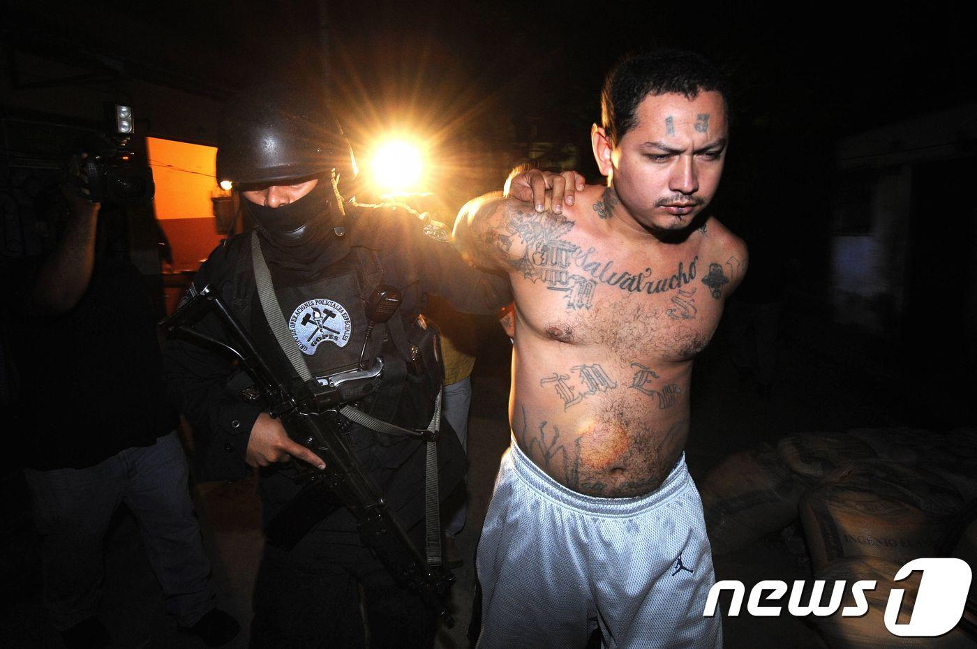 2008년 1월 엘살바도르 중서부 산타테클라에서 MS-13 조직원이 경찰특공대에 붙잡혔다. <자료사진> ⓒ AFP=뉴스1