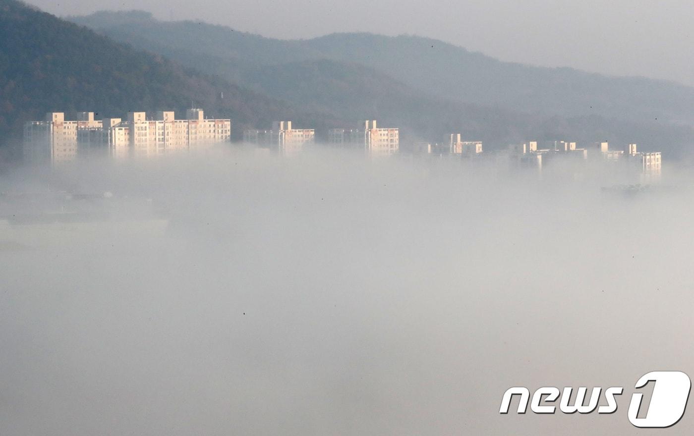본문 이미지 - 세종 어진동 정부세종청사 주변에 안개가 짙게 낀 모습. ⓒ 뉴스1 장수영 기자