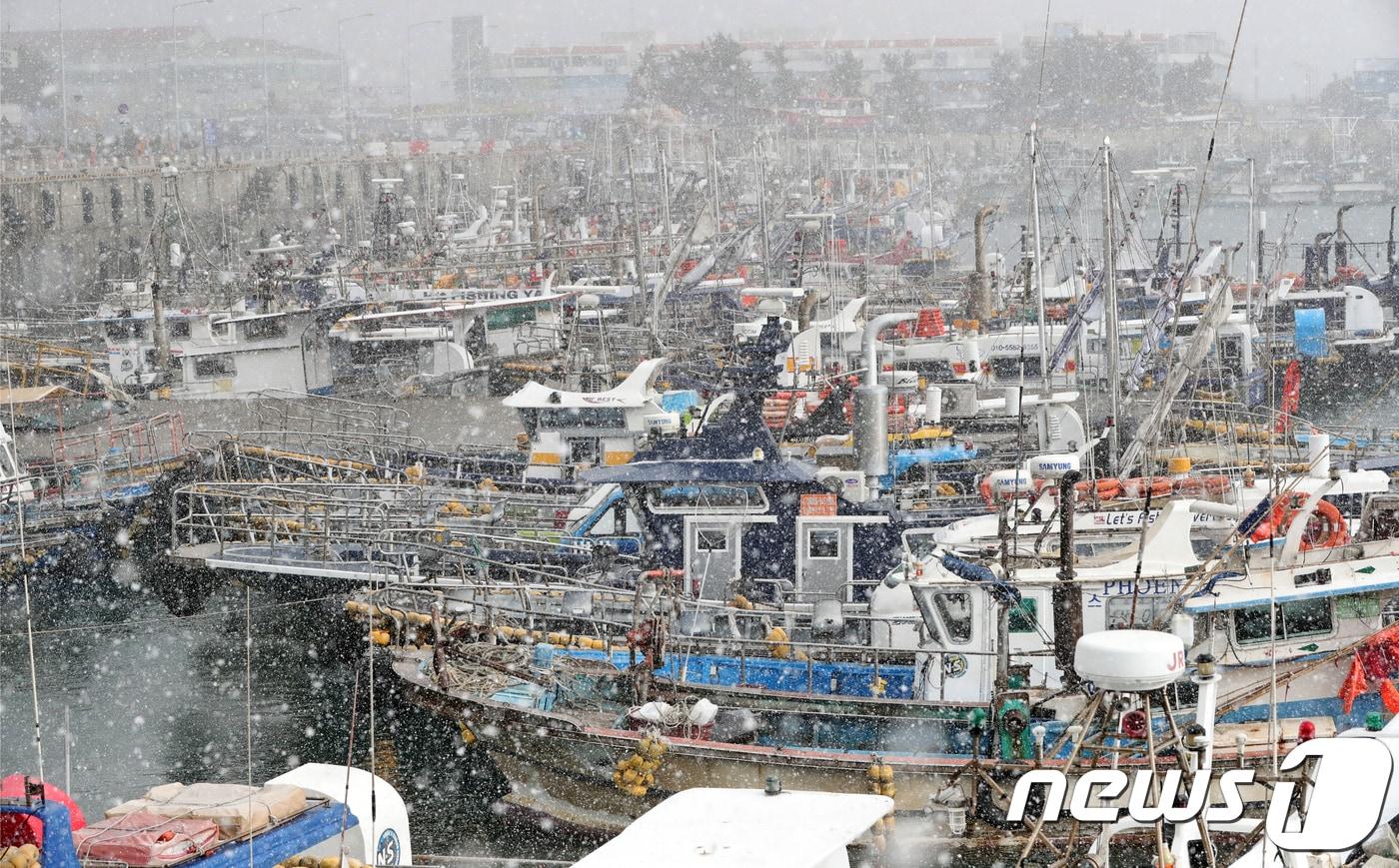 본문 이미지 - 서해안에 정박된 선박들 위로 눈이 내리고 있다. /뉴스1 ⓒ News1 문요한 기자