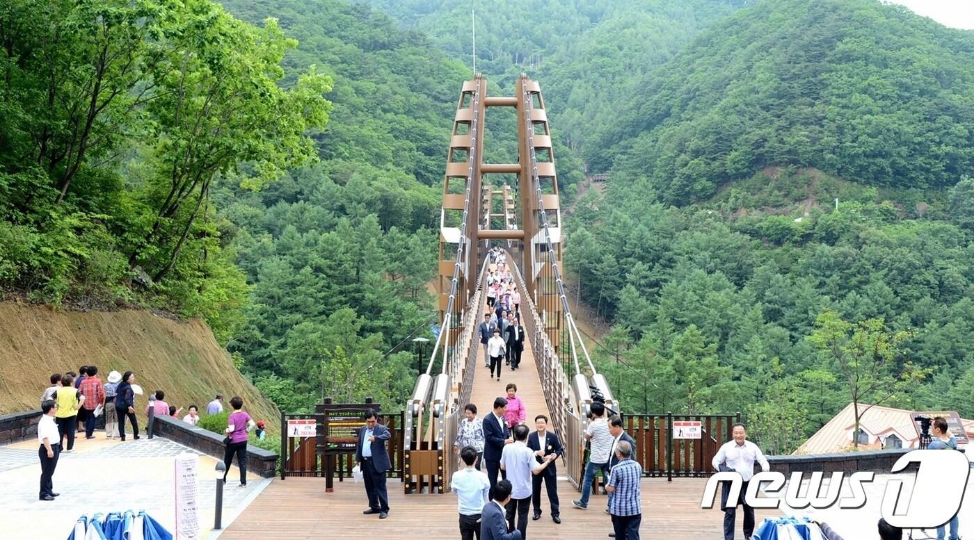 국내 여행을 즐기는 사람들의 모습. ⓒ News1