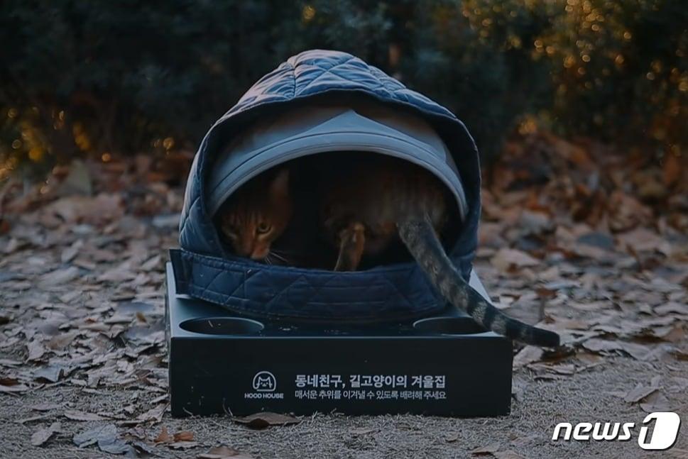 본문 이미지 - 길고양이 겨울집.(사진 이마트 유튜브 캡처)ⓒ News1