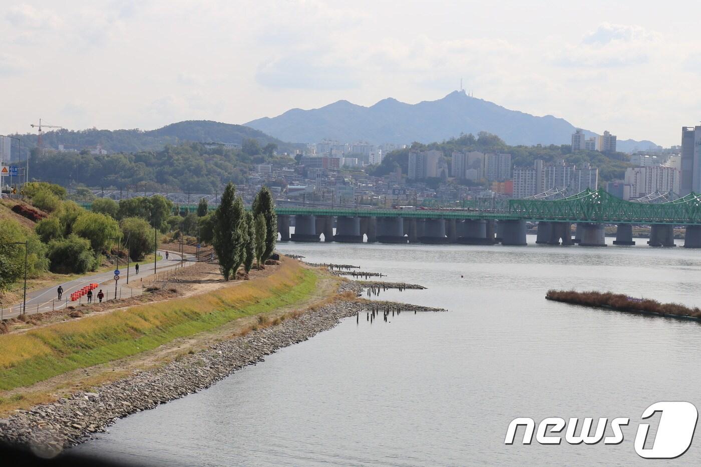 '이촌권역 자연성 회복사업'으로 조성된 이촌한강공원의 자연형 호안.(서울시 제공) ⓒ News1