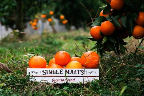 본문 이미지 - ⓒ News1