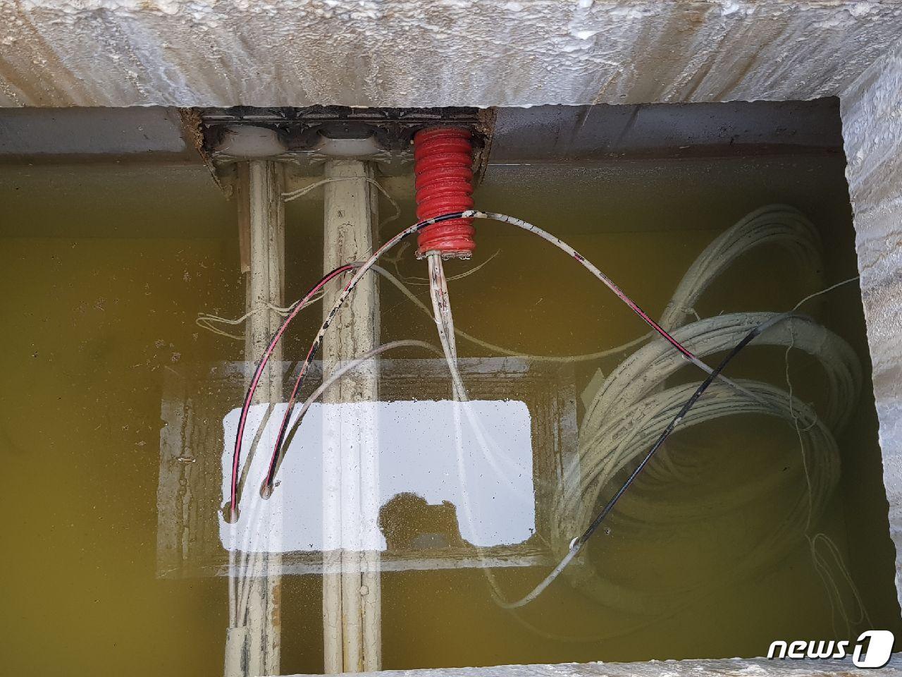 본문 이미지 - 평창 국제방송센터(IBC)에서 42m 떨어진 곳에 있는 맨홀 내의 모습으로 KT가 지중화작업까지 마치고 구축한 통신망(좌측, 회색)의 내관을 절단하고 SK텔레콤이 자사의 케이블망을 설치한 모습을 KT가 증거사진으로 공개했다. 2017.12.4/뉴스1 ⓒ News1