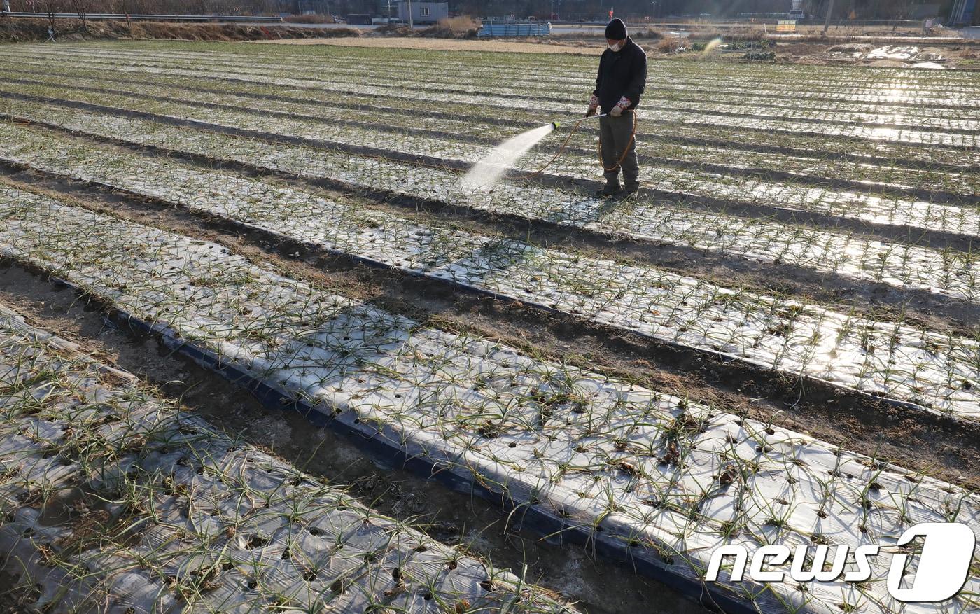  2017.12.6/뉴스1 ⓒ News1 공정식 기자