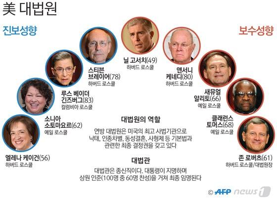 본문 이미지 - ⓒ News1 최진모 디자이너