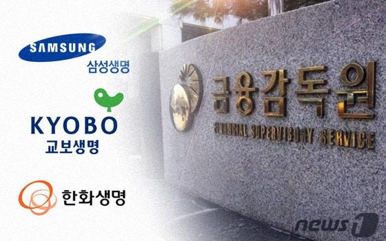 본문 이미지 - ⓒ News1 최진모 디자이너