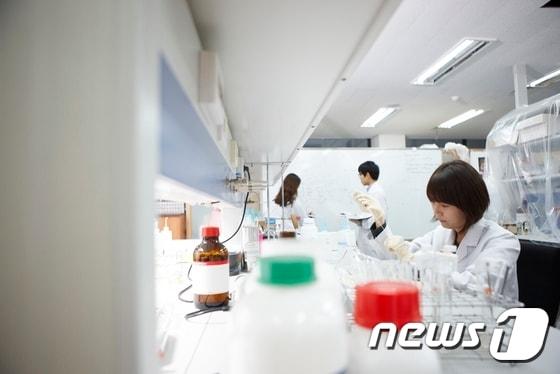 본문 이미지 - 가천대 약학대 학생들이 연구실에서 실험하는 모습. (가천대 제공)ⓒ News1 주영민 기자