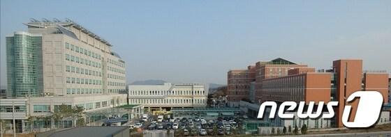 본문 이미지 - 충남 홍성의료원 ⓒ News1 박현석 기자