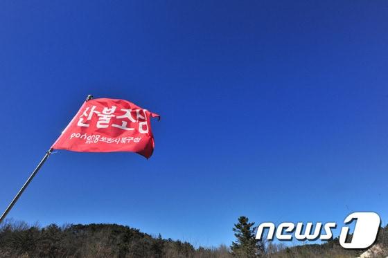 본문 이미지 - 기사 이해를 돕기 위한 자료 사진으로 기사내용과 직접 관련 없음. ⓒ News1