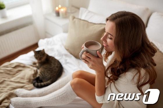 본문 이미지 - 연인들은 의견 충돌로 스트레스를 받는 경우가 흔하지만 고양이와의 관계에서 그런 일은 거의 없다.(사진 이미지투데이)ⓒ News1