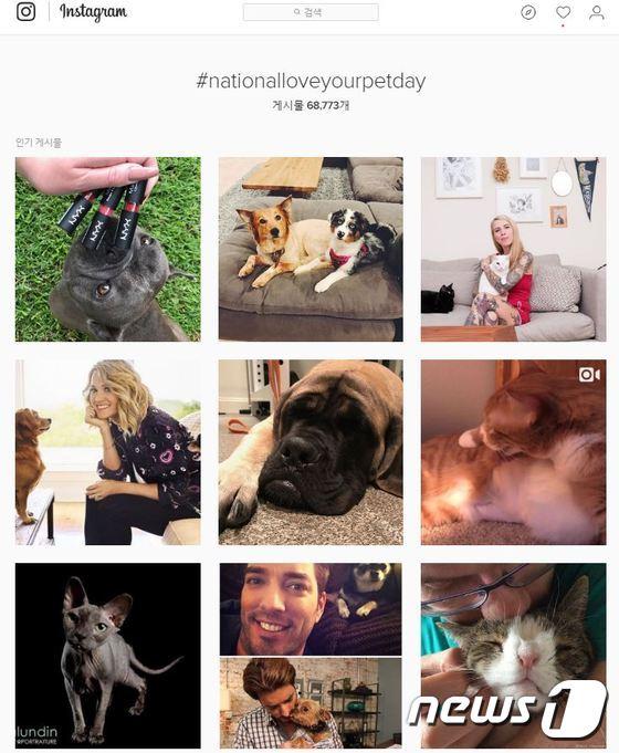 본문 이미지 - 'national love your pet day' 해시태그로 올라온 반려견과 함께한 사진 모음 (출처 인스타그램 캡처)  ⓒ News1