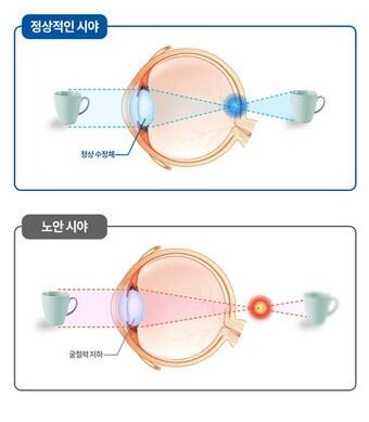 본문 이미지 - ⓒ News1