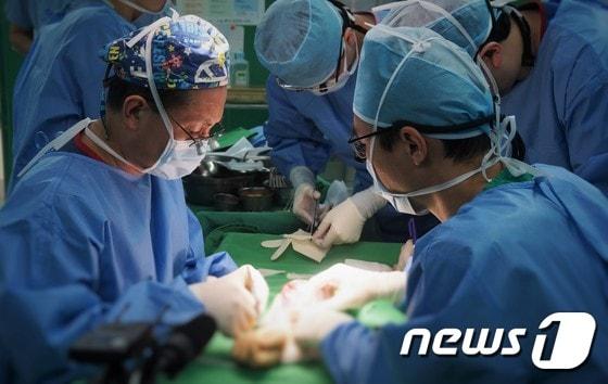 본문 이미지 - 3일 우 병원장을 비롯한 W병원 수부미세재건팀 10명과 영남대의료원 성형회과 이준호 교수 등 25여명의 의료진이 국내 최초의 팔이식 수술을 진행하고 있다.  /사진제공=대구W병원 ⓒ News1 정지훈 기자