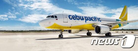 본문 이미지 - <사진=세부퍼시픽 항공>ⓒ News1