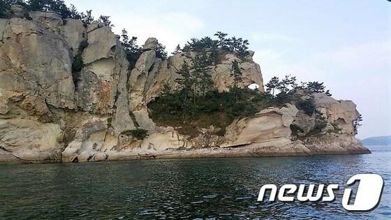 본문 이미지 - 코끼리 바위.(고흥군 제공)/뉴스1 ⓒ News1 지정운 기자