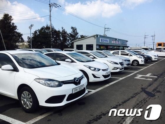 본문 이미지 - 제주 한 렌터카업체 차고지(뉴스1 DB) ⓒ News1