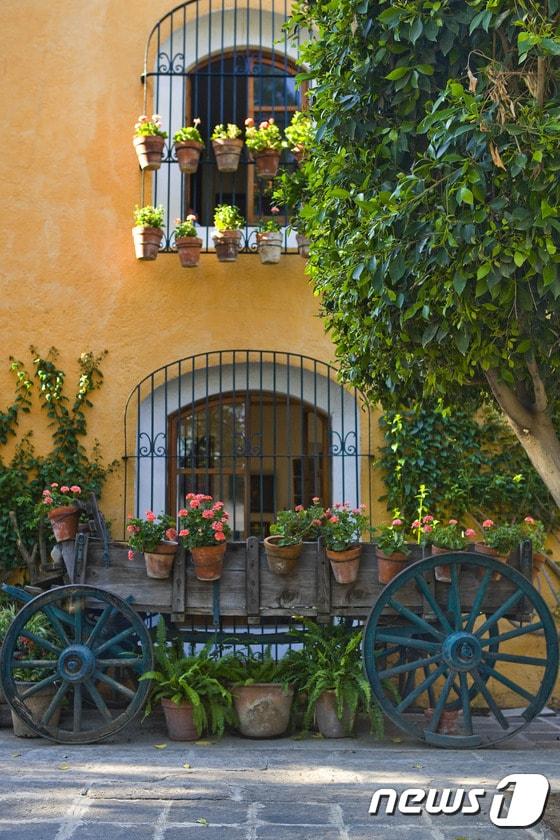 본문 이미지 - 봄 분위기가 가득한 테키스키아판. 멕시코관광청 제공.ⓒ News1