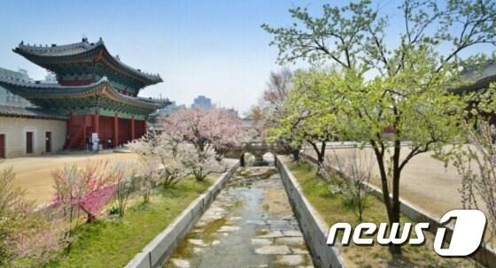 본문 이미지 - 창경궁 옥천교 봄 풍경(문화재청 제공)ⓒ News1