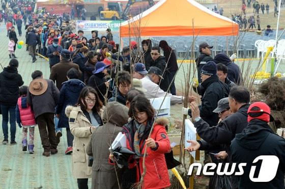 본문 이미지 - 제주들불축제 '새 봄 새 희망 묘목 나눠주기' 행사. (뉴스1 DB) ⓒ 