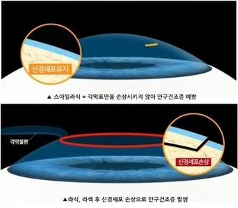 본문 이미지 - ⓒ News1