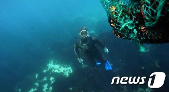 본문 이미지 - 사진은 잠수한 해녀 모습. &#40;문화재청 제공&#41; 2017.3.8/뉴스1