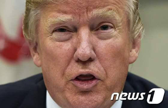 본문 이미지 - 도널드 트럼프 미국 대통령. ⓒ AFP=뉴스1