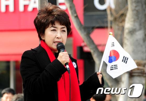 본문 이미지 - 정미홍 ⓒ News1