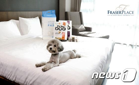 본문 이미지 - 프레이저 플레이스 센트럴 호텔 제공ⓒ News1