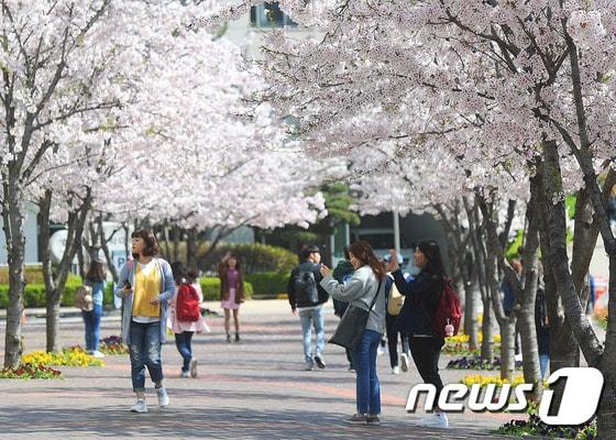 본문 이미지 - 서울 광진구 건국대학교 캠퍼스. (건국대 제공) /뉴스1
