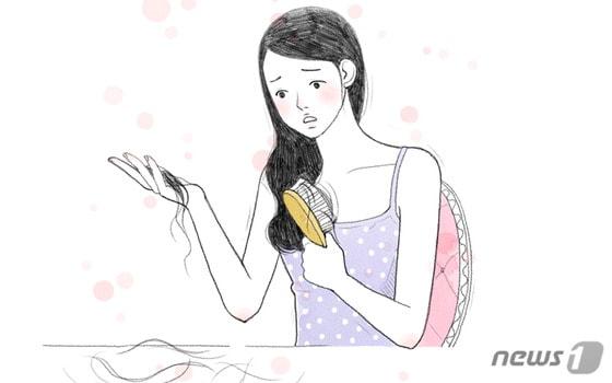 본문 이미지 - ⓒ News1 DB