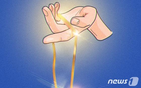 본문 이미지 - ⓒ News1 최진모 디자이너