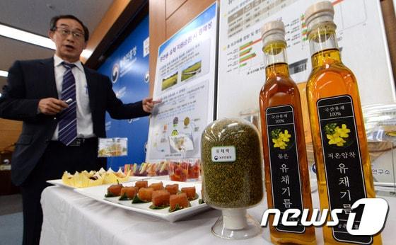 본문 이미지 - 정응기 농진청 바이오에너지작물연구소장이 19일 농림축산식품부 기자실에서 '구경하는 유채에서 먹는 유채로' 브리핑을 하고 있다. 2017.4.19/뉴스1 ⓒ News1 장수영 기자