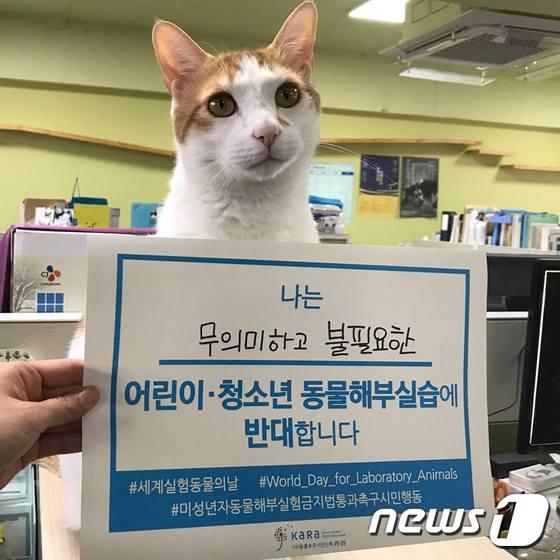본문 이미지 - '미성년자 동물해부실습 금지법 통과 촉구 시민행동'.(사진 카라 제공)ⓒ News1