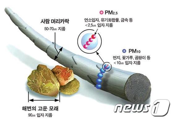 본문 이미지 - 미세먼지 크기 비교(환경부 제공)ⓒ News1