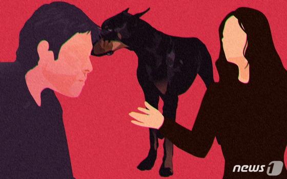 본문 이미지 - ⓒ News1 DB