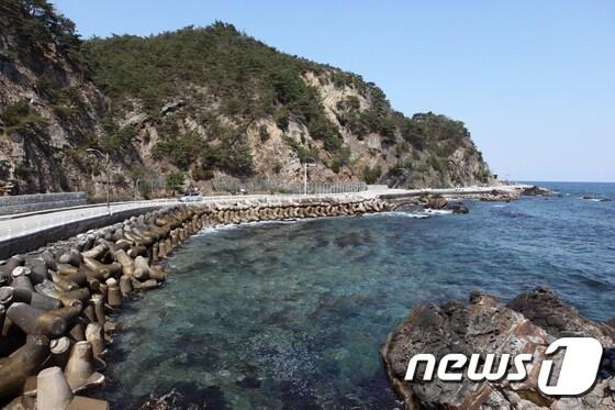 본문 이미지 - 강릉 헌화로 ⓒ News1