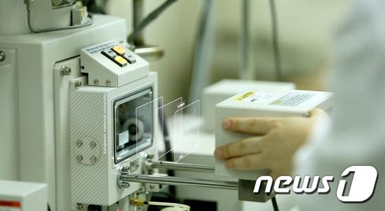 본문 이미지 -  ⓒ News1