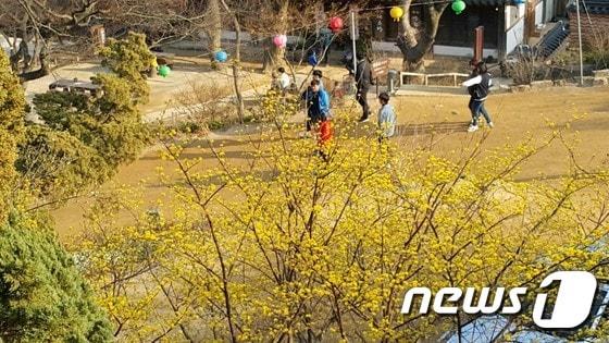 본문 이미지 - 전등사(자료사진)ⓒ News1