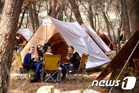 본문 이미지 - 기사 이해를 돕기 위한 캠핑행사 자료 사진으로 기사 내용과 직접 관련 없음. &#40;재판매 및 DB금지&#41;/뉴스1