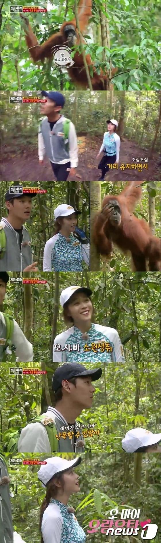 본문 이미지 - '정글의 법칙' 방송 캡처 ⓒ News1