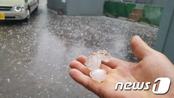 본문 이미지 - (사진은 기사 내용과 무관함) / 뉴스1 ⓒ News1 주영민 기자