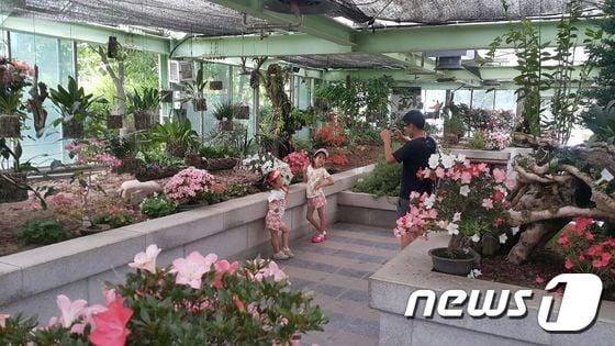 본문 이미지 - 강원도산림과학연구원ⓒ News1 신효재 기자