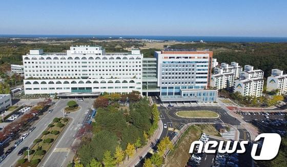 본문 이미지 - 강릉아산병원. (뉴스1 DB) ⓒ News1