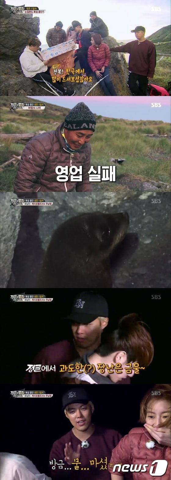 본문 이미지 - '정글의 법칙' 방송 캡처 ⓒ News1